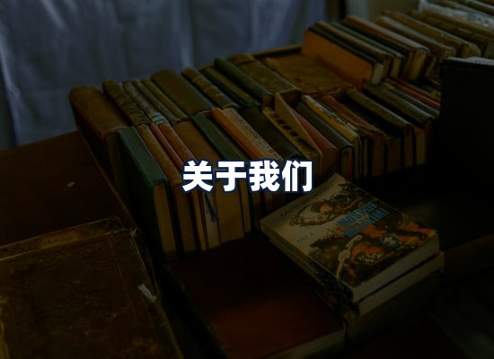 关于我们